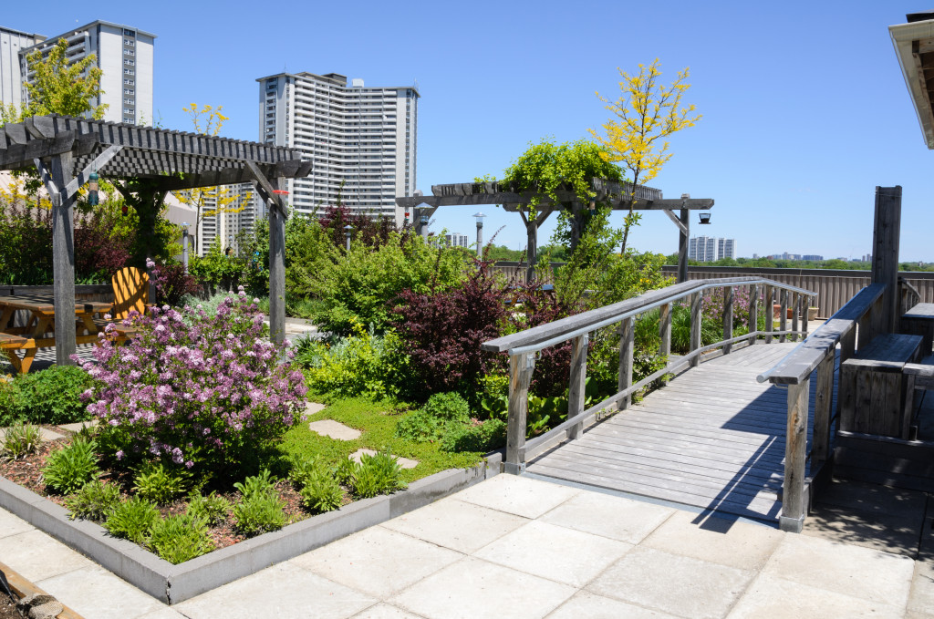 urban rooftop garden